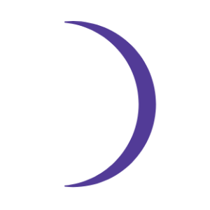 Dusk Network Logo