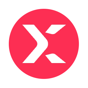 StormX Logo